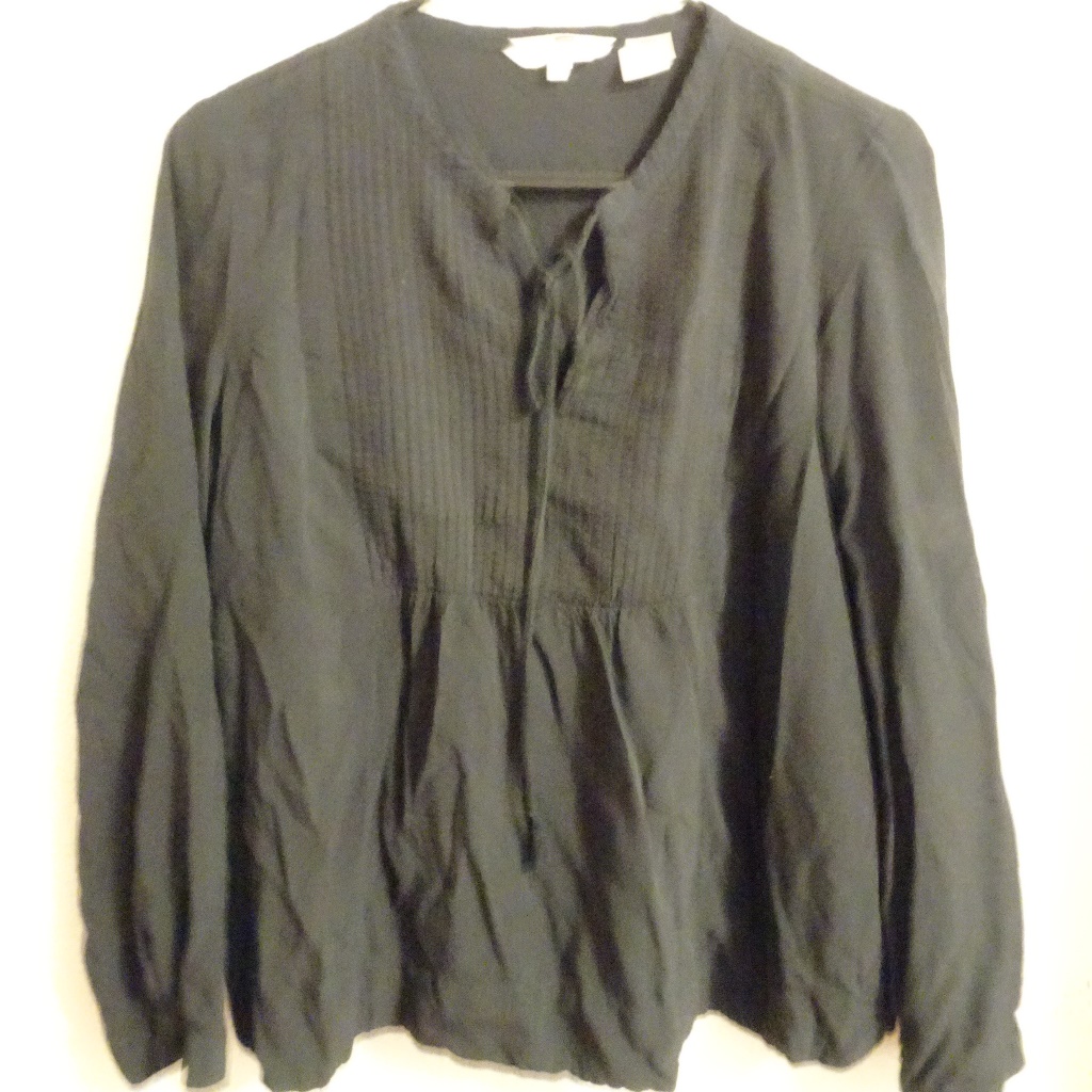 Levis Blouse